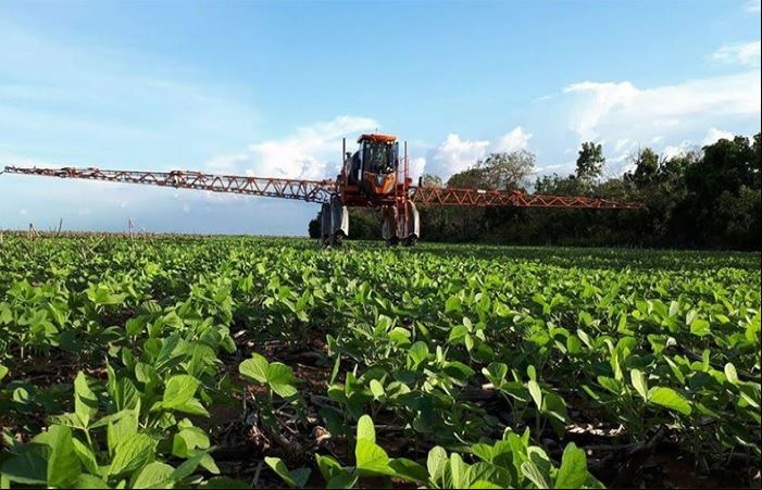 Lavoura de soja em Balsas - Maranhão - (Foto: )